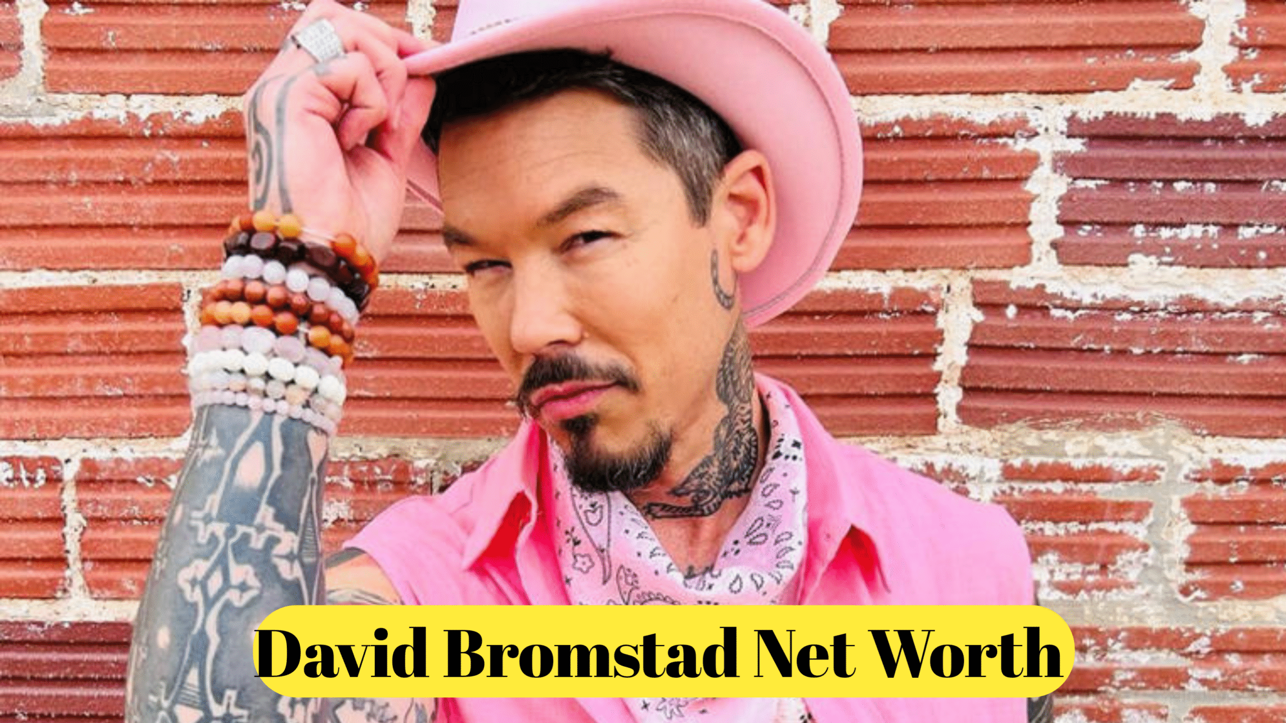 David Bromstad Net Worth : Career, Biography, Income, and Lifestyle